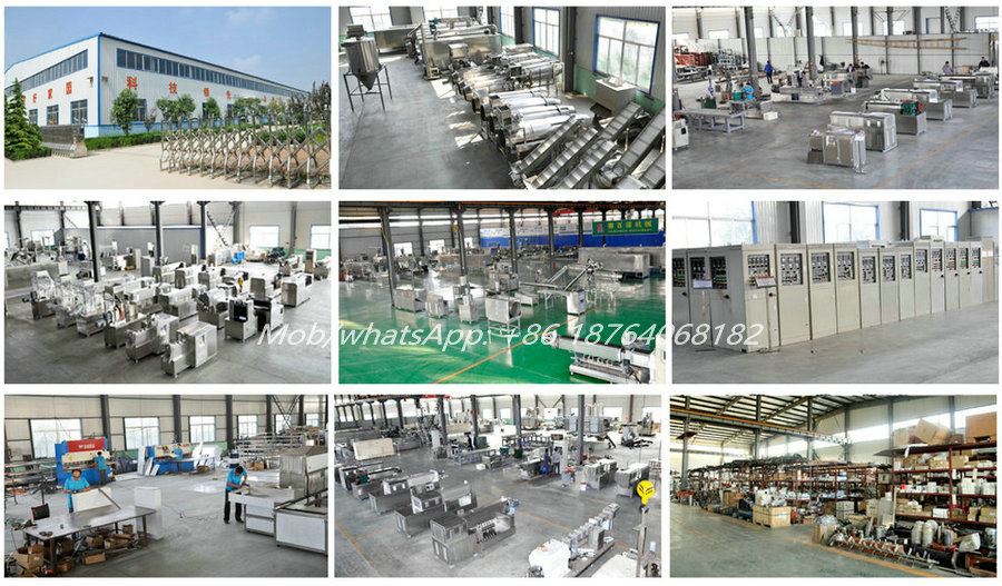 Extrusion Food Machine